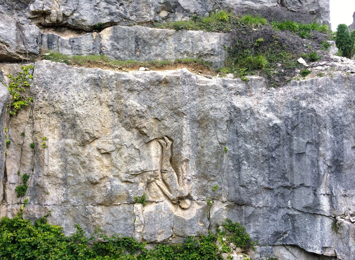 Still falling, Portland